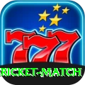 all cricket match Slot Machine Premium