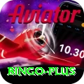 bingo Extreme v1.1.4