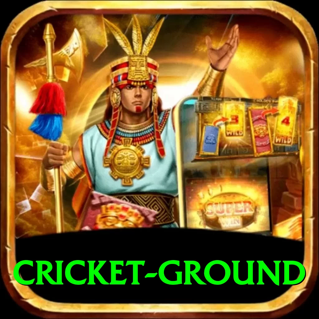 cricket ground - Royal Earning App - 2