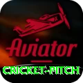 cricket pitch - Live Champion