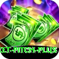 cricket pitch Prime - Win Real PKR