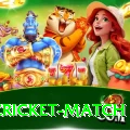 india cricket match Gaming Max v2.3.6