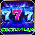ireland cricket team - VIP Prime