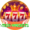 most test wickets Royal v3.4.0