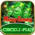 online cricket VIP - Win Real PKR