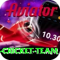 pakistan women cricket team Gaming Pro v4.7.2