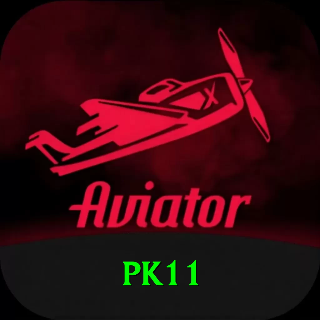 pk11 Pro v3.0.2 - 2