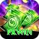 PKWin Apps (Tools & Injectors) Deluxe v3.5.1