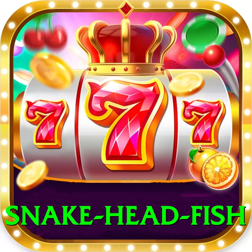 snake head fish Royal 2024 - 2