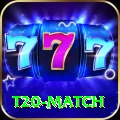 t20 match Game Deluxe v4.0.1