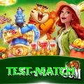 test match Money Supreme v3.3.8