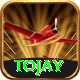 tojay VIP v3.3.6