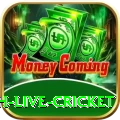 watch live cricket - Plus v3.7.5
