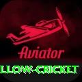 willow cricket Slots Royal v4.0.2